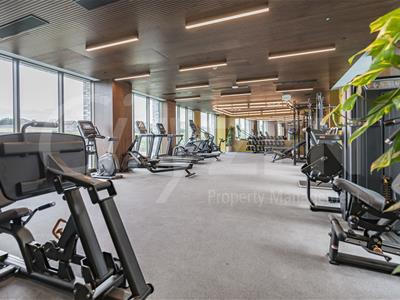 Picture 7